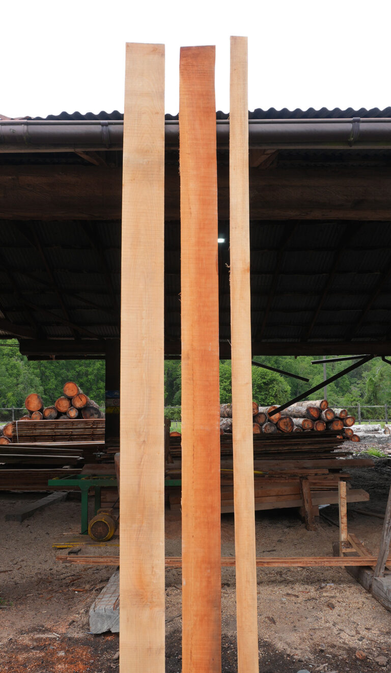 Tabla de roble nativo calidad I